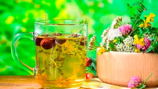 Фитотерапия: научный взгляд на лечение травами